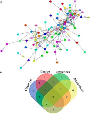 In silico analysis to identify novel ceRNA regulatory axes associated with gallbladder cancer